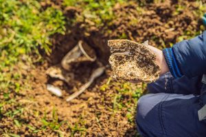 生分解性プラスチックの歴史をたどる｜PLAを用いた不織布製品開発に向けて